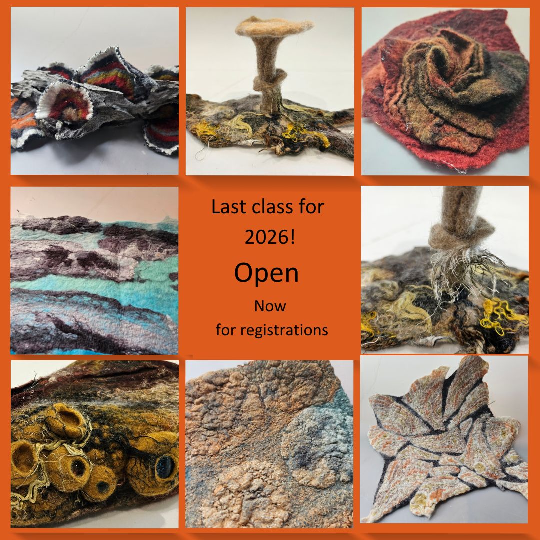 3 online classes Photo Collage Instagram Post (1)